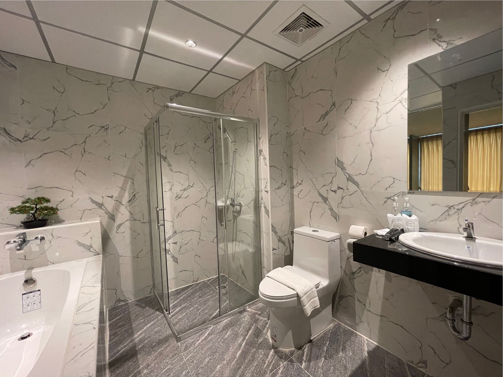 Bathroom with vanity, toilet and shower